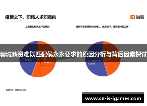蓉城薪资难以匹配侯永永要求的原因分析与背后因素探讨
