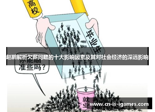 赵鹏解析欠薪问题的十大影响因素及其对社会经济的深远影响