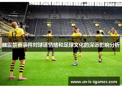魏震禁赛事件对球迷情绪和足球文化的深远影响分析