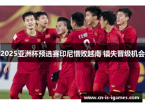 2025亚洲杯预选赛印尼惜败越南 错失晋级机会