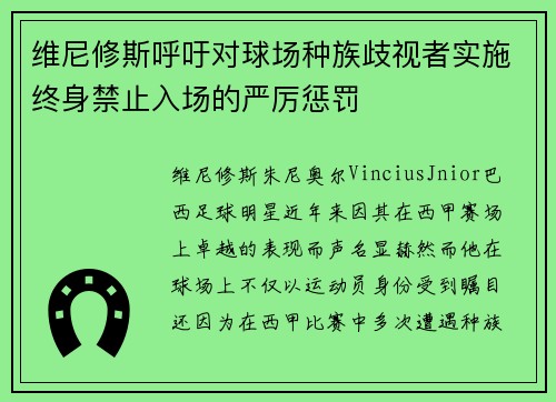 维尼修斯呼吁对球场种族歧视者实施终身禁止入场的严厉惩罚